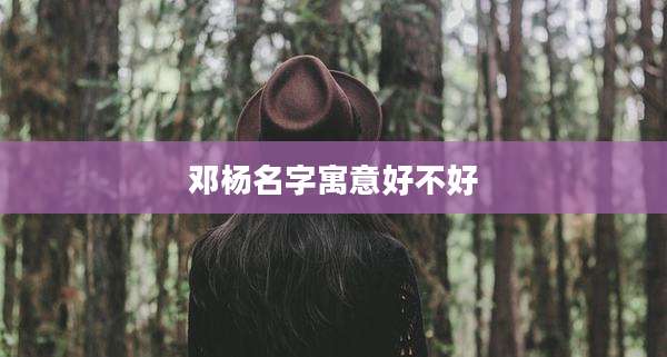 邓杨名字寓意好不好