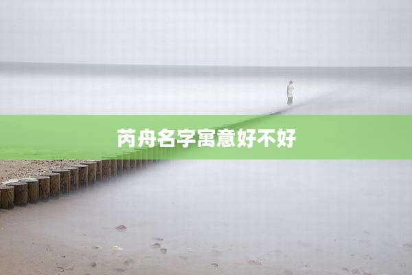 芮舟名字寓意好不好