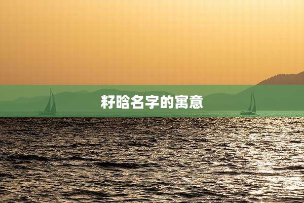 籽晗名字的寓意