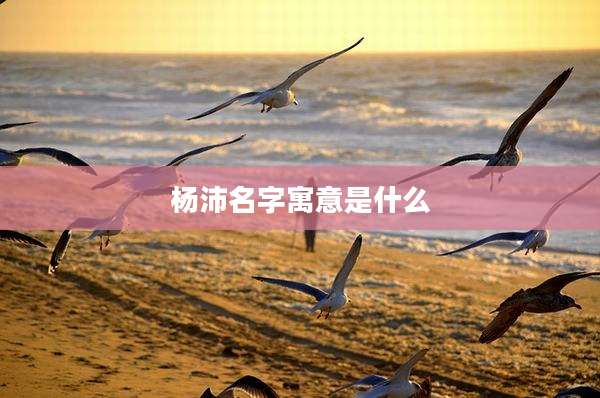 杨沛名字寓意是什么