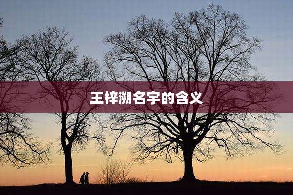 王梓溯名字的含义