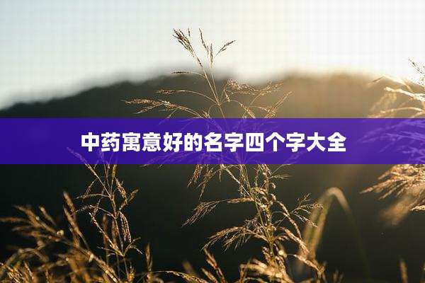 中药寓意好的名字四个字大全