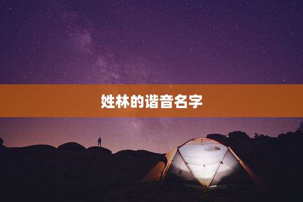 姓林的谐音名字