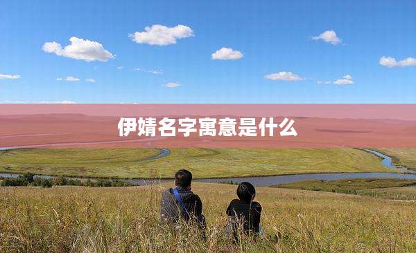 伊婧名字寓意是什么