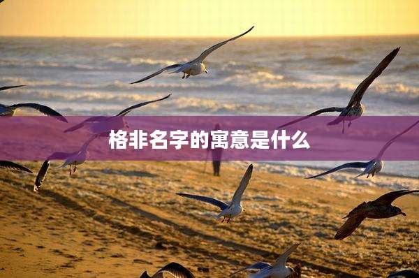 格非名字的寓意是什么
