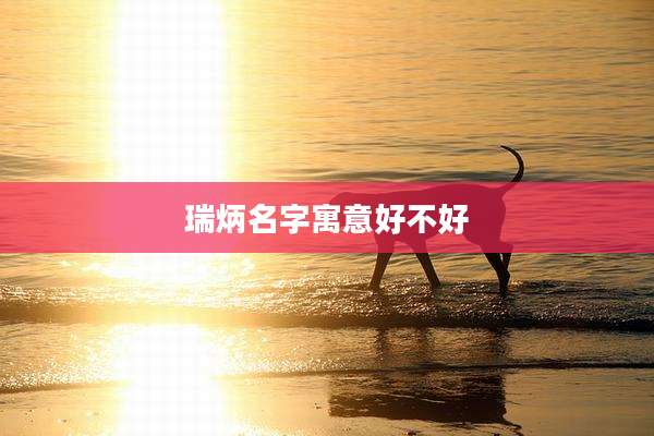 瑞炳名字寓意好不好