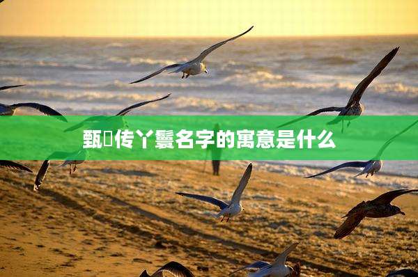 甄嬛传丫鬟名字的寓意是什么