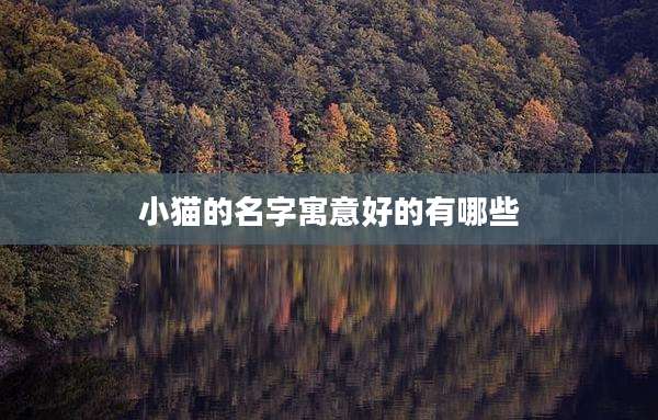 小猫的名字寓意好的有哪些