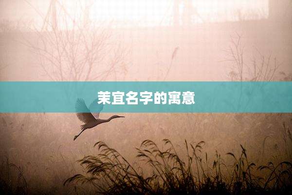 茉宜名字的寓意