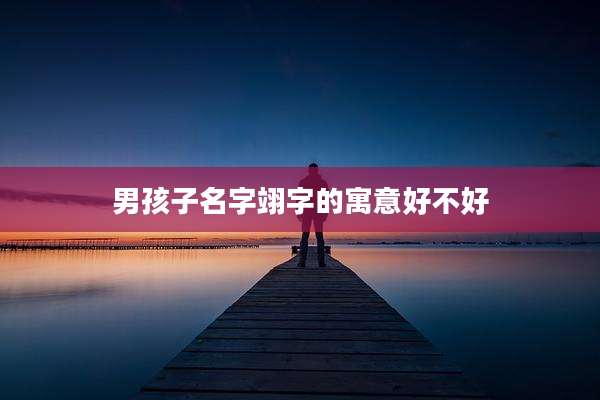 男孩子名字翊字的寓意好不好