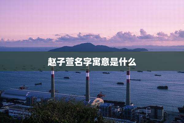 赵子萱名字寓意是什么