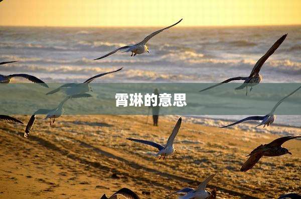 霄琳的意思