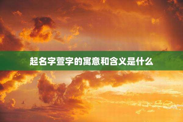 起名字萱字的寓意和含义是什么