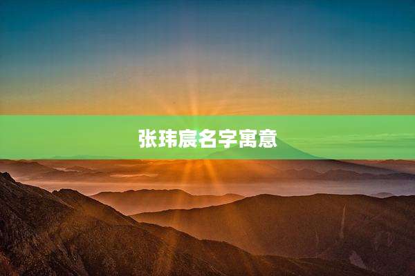 张玮宸名字寓意