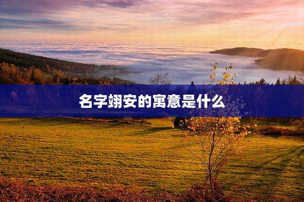 名字翊安的寓意是什么