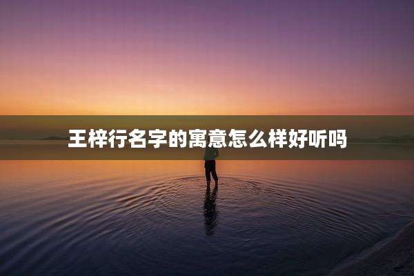 王梓行名字的寓意怎么样好听吗