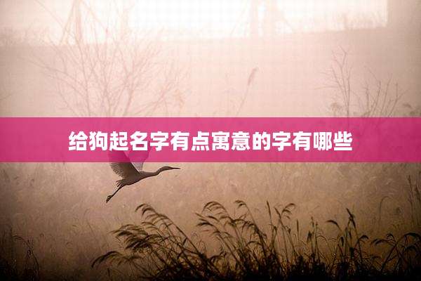 给狗起名字有点寓意的字有哪些