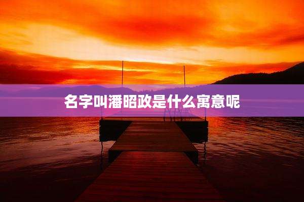 名字叫潘昭政是什么寓意呢