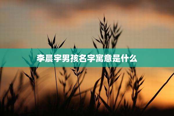 李晨宇男孩名字寓意是什么