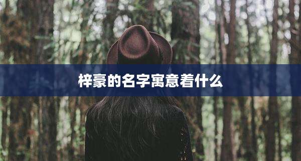 梓豪的名字寓意着什么