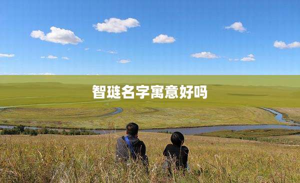 智琏名字寓意好吗