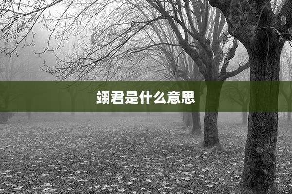 翊君是什么意思