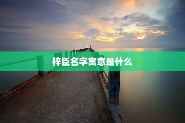 梓臣名字寓意是什么