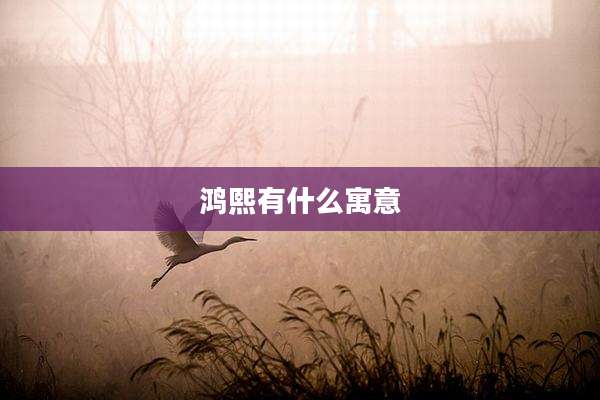 鸿熙有什么寓意