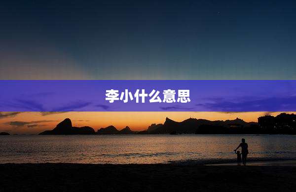 李小什么意思