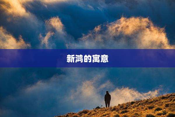 新鸿的寓意