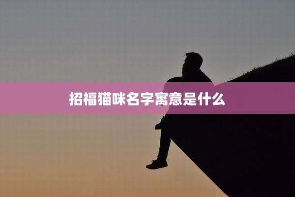 招福猫咪名字寓意是什么