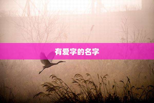 有爱字的名字