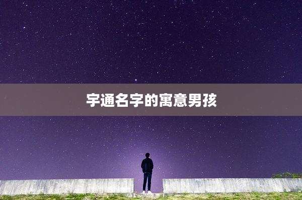 宇通名字的寓意男孩