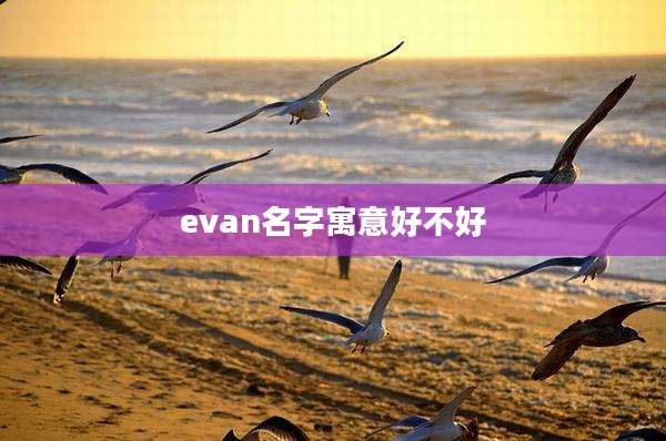 evan名字寓意好不好