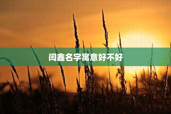 闫鑫名字寓意好不好