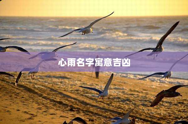 心雨名字寓意吉凶