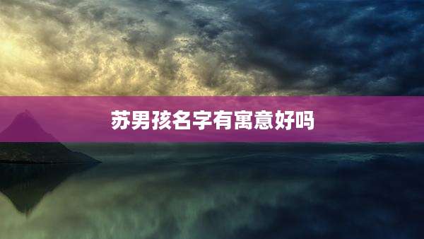 苏男孩名字有寓意好吗