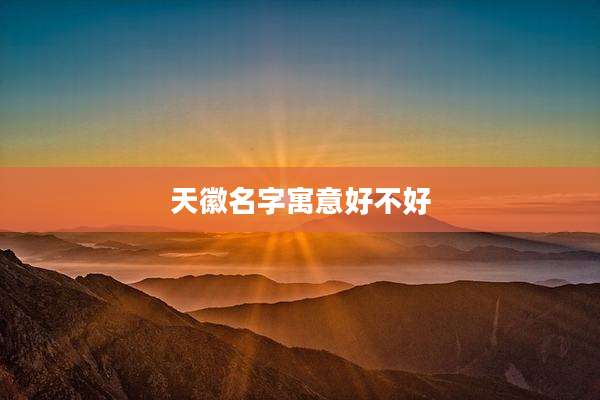 天徽名字寓意好不好