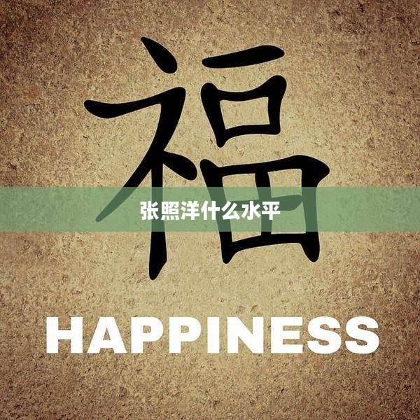 张照洋什么水平