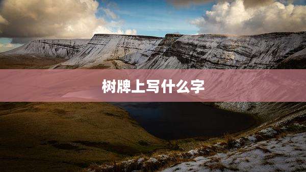 树牌上写什么字