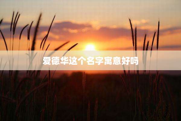 爱德华这个名字寓意好吗