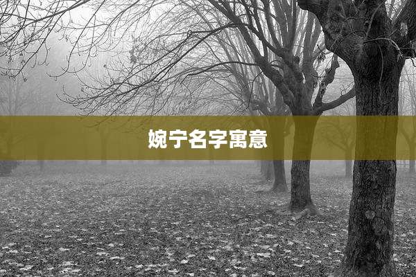 婉宁名字寓意