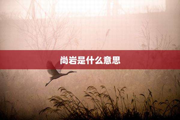 尚岩是什么意思