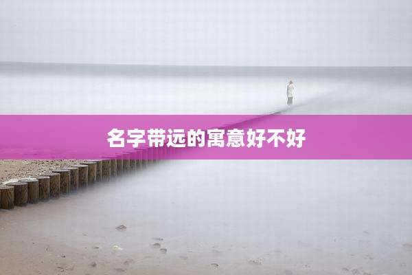 名字带远的寓意好不好