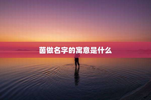 茵做名字的寓意是什么