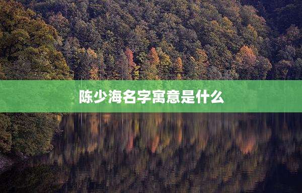 陈少海名字寓意是什么