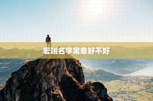 宏翊名字寓意好不好