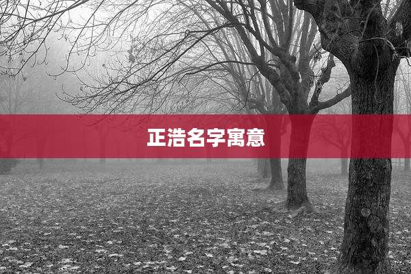 正浩名字寓意