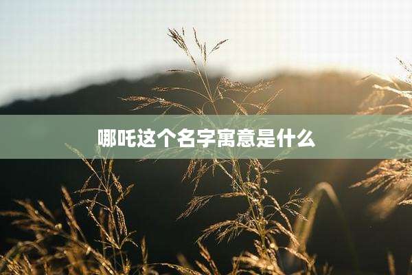 哪吒这个名字寓意是什么