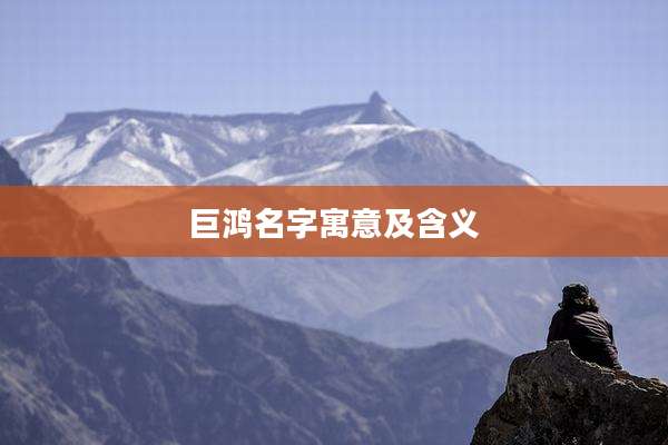 巨鸿名字寓意及含义
